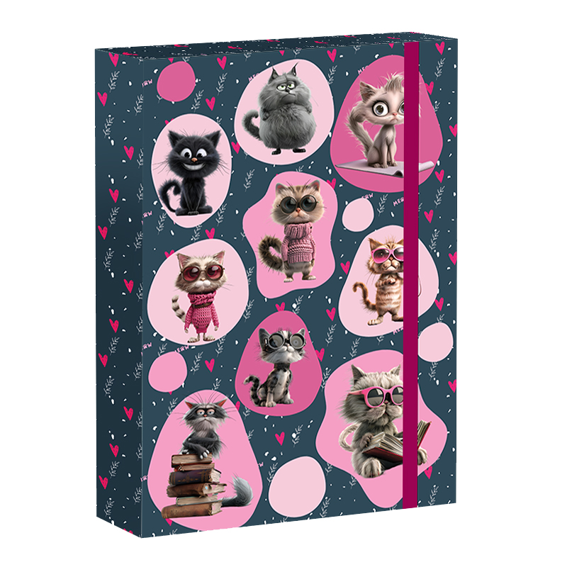 Školský box A5 Cat Life REYBAG